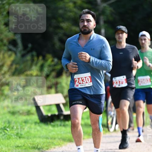 27.09.2026 - 35. Volkslauf durch das schöne Alstertal Dr. Thomas Lammeyer http://msf.ph/oto/10580087 27.09.2026 12:12:49 Laufen 2430 meine-sportfotos.de