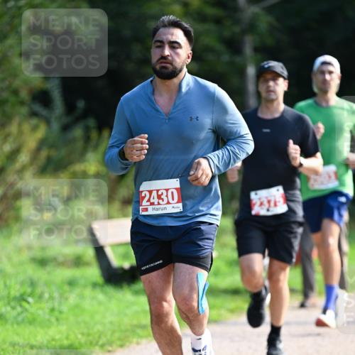 27.09.2026 - 35. Volkslauf durch das schöne Alstertal Dr. Thomas Lammeyer http://msf.ph/oto/10580090 27.09.2026 12:12:49 Laufen 2430 meine-sportfotos.de