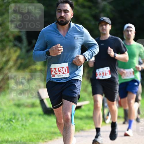 27.09.2026 - 35. Volkslauf durch das schöne Alstertal Dr. Thomas Lammeyer http://msf.ph/oto/10580091 27.09.2026 12:12:49 Laufen 2430 meine-sportfotos.de
