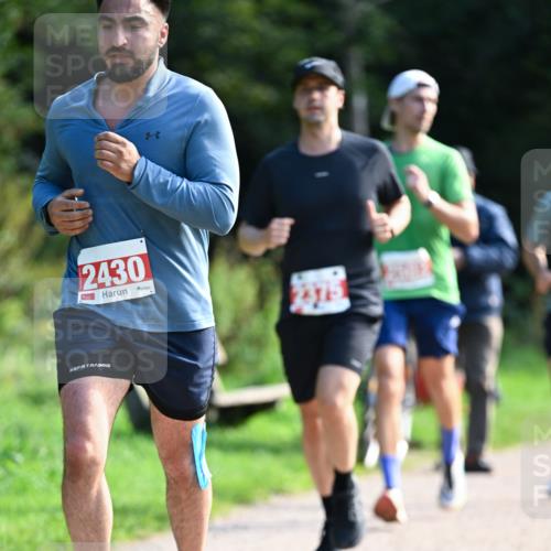 27.09.2026 - 35. Volkslauf durch das schöne Alstertal Dr. Thomas Lammeyer http://msf.ph/oto/10580094 27.09.2026 12:12:50 Laufen 2430 meine-sportfotos.de
