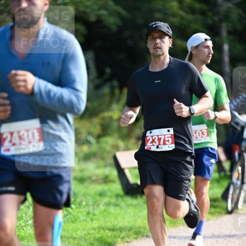 27.09.2026 - 35. Volkslauf durch das schöne Alstertal Dr. Thomas Lammeyer http://msf.ph/oto/10580095 27.09.2026 12:12:50 Laufen 2430, 2375, 503 meine-sportfotos.de