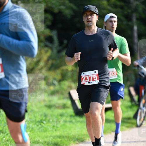 27.09.2026 - 35. Volkslauf durch das schöne Alstertal Dr. Thomas Lammeyer http://msf.ph/oto/10580097 27.09.2026 12:12:50 Laufen 2375, 03 meine-sportfotos.de