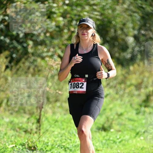 27.09.2026 - 35. Volkslauf durch das schöne Alstertal Dr. Thomas Lammeyer http://msf.ph/oto/10580124 27.09.2026 12:13:01 Laufen 1082 meine-sportfotos.de