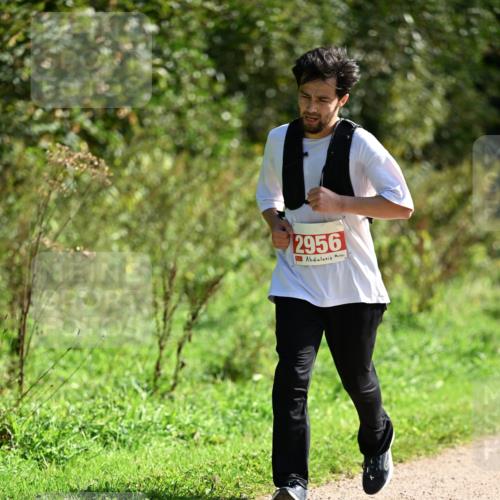 27.09.2026 - 35. Volkslauf durch das schöne Alstertal Dr. Thomas Lammeyer http://msf.ph/oto/10580134 27.09.2026 12:13:09 Laufen 2956 meine-sportfotos.de