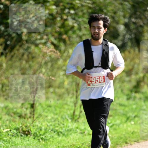 27.09.2026 - 35. Volkslauf durch das schöne Alstertal Dr. Thomas Lammeyer http://msf.ph/oto/10580138 27.09.2026 12:13:10 Laufen 2956 meine-sportfotos.de