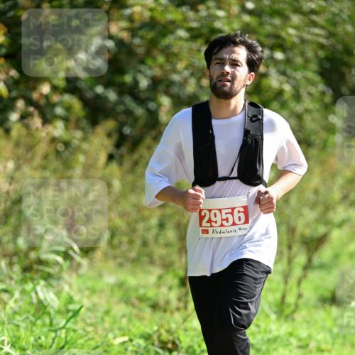 27.09.2026 - 35. Volkslauf durch das schöne Alstertal Dr. Thomas Lammeyer http://msf.ph/oto/10580143 27.09.2026 12:13:10 Laufen 2956 meine-sportfotos.de