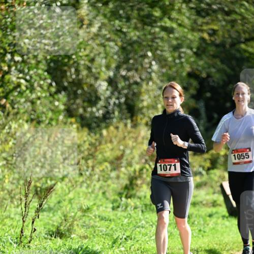 27.09.2026 - 35. Volkslauf durch das schöne Alstertal Dr. Thomas Lammeyer http://msf.ph/oto/10580149 27.09.2026 12:13:17 Laufen 1071, 1055 meine-sportfotos.de