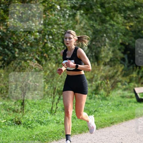 27.09.2026 - 35. Volkslauf durch das schöne Alstertal Dr. Thomas Lammeyer http://msf.ph/oto/10580208 27.09.2026 12:13:29 Laufen  meine-sportfotos.de