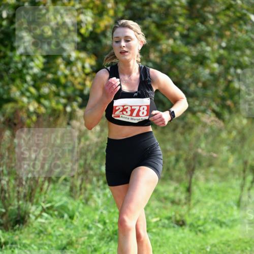 27.09.2026 - 35. Volkslauf durch das schöne Alstertal Dr. Thomas Lammeyer http://msf.ph/oto/10580218 27.09.2026 12:13:30 Laufen 2378 meine-sportfotos.de