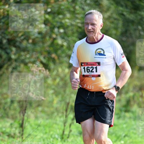 27.09.2026 - 35. Volkslauf durch das schöne Alstertal Dr. Thomas Lammeyer http://msf.ph/oto/10580237 27.09.2026 12:13:40 Laufen 2012, 1621, 0, 433 meine-sportfotos.de