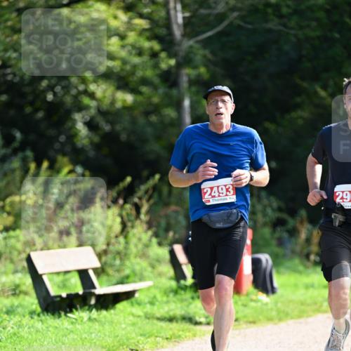 27.09.2026 - 35. Volkslauf durch das schöne Alstertal Dr. Thomas Lammeyer http://msf.ph/oto/10580252 27.09.2026 12:14:01 Laufen 2493, 29 meine-sportfotos.de