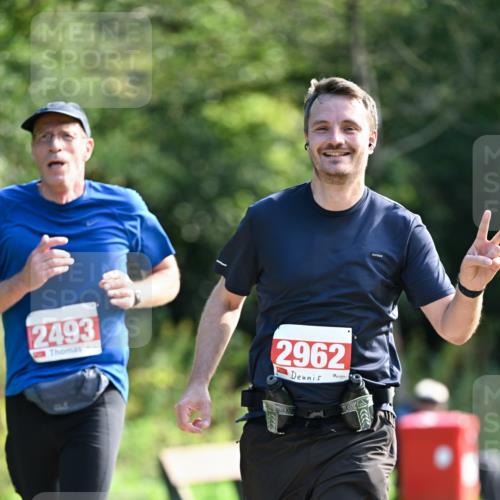 27.09.2026 - 35. Volkslauf durch das schöne Alstertal Dr. Thomas Lammeyer http://msf.ph/oto/10580266 27.09.2026 12:14:03 Laufen 2493, 2962 meine-sportfotos.de