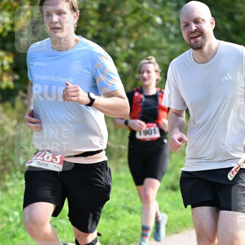 27.09.2026 - 35. Volkslauf durch das schöne Alstertal Dr. Thomas Lammeyer http://msf.ph/oto/10580324 27.09.2026 12:14:50 Laufen 283, 1901 meine-sportfotos.de