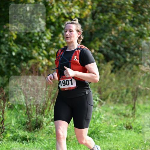 27.09.2026 - 35. Volkslauf durch das schöne Alstertal Dr. Thomas Lammeyer http://msf.ph/oto/10580329 27.09.2026 12:14:51 Laufen 1901 meine-sportfotos.de