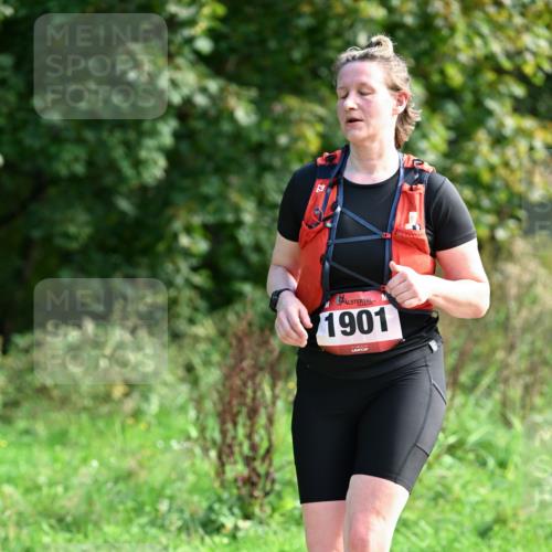 27.09.2026 - 35. Volkslauf durch das schöne Alstertal Dr. Thomas Lammeyer http://msf.ph/oto/10580332 27.09.2026 12:14:51 Laufen 1901 meine-sportfotos.de