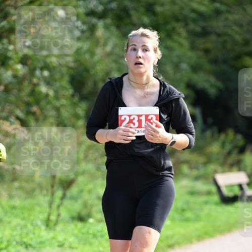27.09.2026 - 35. Volkslauf durch das schöne Alstertal Dr. Thomas Lammeyer http://msf.ph/oto/10580356 27.09.2026 12:14:58 Laufen 2313 meine-sportfotos.de