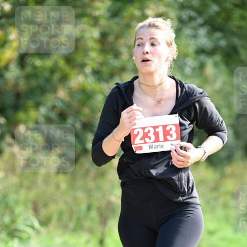 27.09.2026 - 35. Volkslauf durch das schöne Alstertal Dr. Thomas Lammeyer http://msf.ph/oto/10580361 27.09.2026 12:14:59 Laufen 2313 meine-sportfotos.de