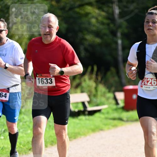 27.09.2026 - 35. Volkslauf durch das schöne Alstertal Dr. Thomas Lammeyer http://msf.ph/oto/10580429 27.09.2026 12:15:35 Laufen 64, 1633, 2426 meine-sportfotos.de