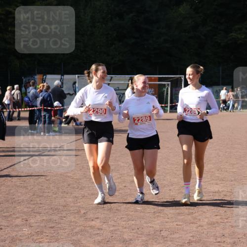 27.09.2026 - 35. Volkslauf durch das schöne Alstertal Strokosch-Dieckow http://msf.ph/oto/10580484 27.09.2026 12:56:23 Ziel 2288, 2289, 2290 meine-sportfotos.de