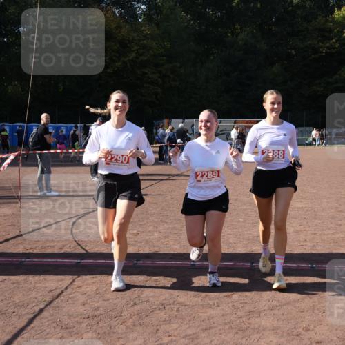 27.09.2026 - 35. Volkslauf durch das schöne Alstertal Strokosch-Dieckow http://msf.ph/oto/10580528 27.09.2026 12:56:24 Ziel 2288, 2289, 2290 meine-sportfotos.de
