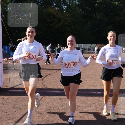 27.09.2026 - 35. Volkslauf durch das schöne Alstertal Strokosch-Dieckow http://msf.ph/oto/10580568 27.09.2026 12:56:25 Ziel 2288, 2289, 2290 meine-sportfotos.de