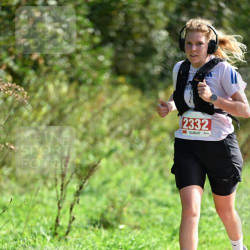27.09.2026 - 35. Volkslauf durch das schöne Alstertal Dr. Thomas Lammeyer http://msf.ph/oto/10580604 27.09.2026 12:16:56 Laufen 2332 meine-sportfotos.de