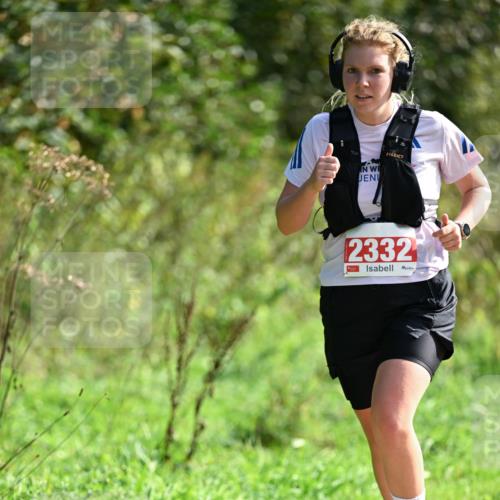 27.09.2026 - 35. Volkslauf durch das schöne Alstertal Dr. Thomas Lammeyer http://msf.ph/oto/10580607 27.09.2026 12:16:57 Laufen 2332 meine-sportfotos.de