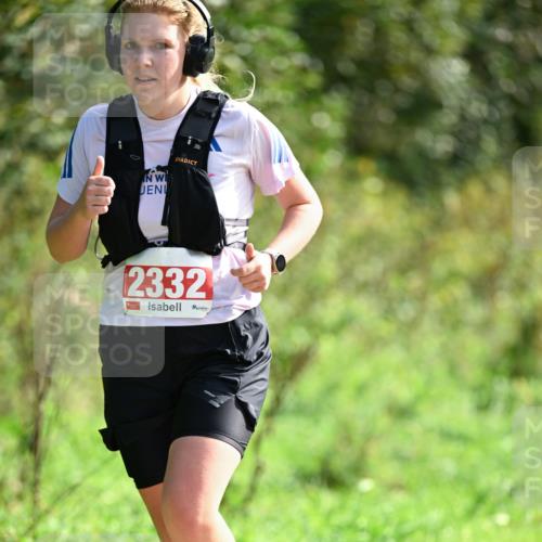 27.09.2026 - 35. Volkslauf durch das schöne Alstertal Dr. Thomas Lammeyer http://msf.ph/oto/10580613 27.09.2026 12:16:57 Laufen 2332 meine-sportfotos.de