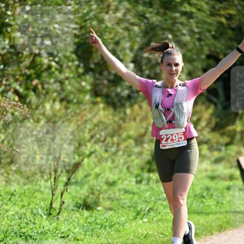 27.09.2026 - 35. Volkslauf durch das schöne Alstertal Dr. Thomas Lammeyer http://msf.ph/oto/10580616 27.09.2026 12:17:07 Laufen 2295 meine-sportfotos.de