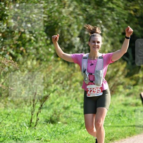 27.09.2026 - 35. Volkslauf durch das schöne Alstertal Dr. Thomas Lammeyer http://msf.ph/oto/10580617 27.09.2026 12:17:07 Laufen 2295 meine-sportfotos.de