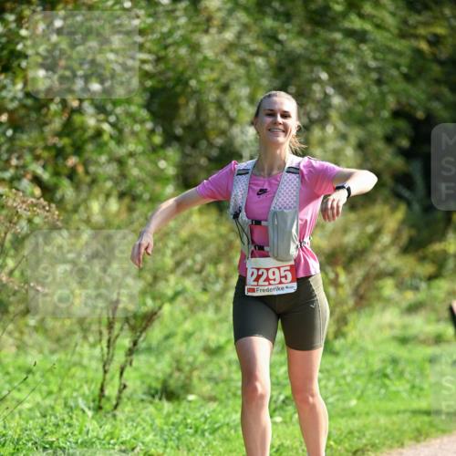 27.09.2026 - 35. Volkslauf durch das schöne Alstertal Dr. Thomas Lammeyer http://msf.ph/oto/10580618 27.09.2026 12:17:07 Laufen 2295 meine-sportfotos.de