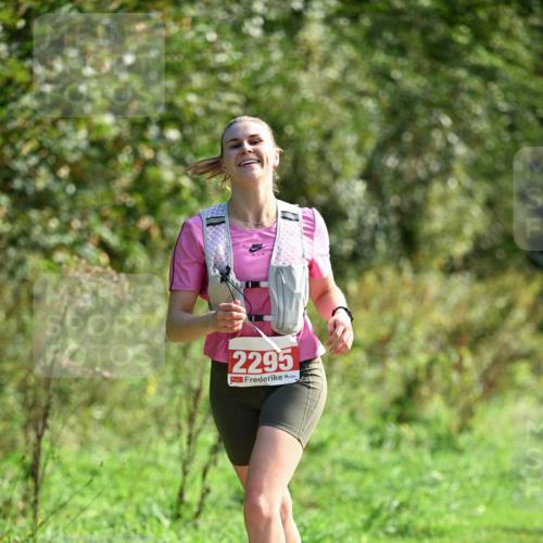 27.09.2026 - 35. Volkslauf durch das schöne Alstertal Dr. Thomas Lammeyer http://msf.ph/oto/10580622 27.09.2026 12:17:07 Laufen 2295 meine-sportfotos.de