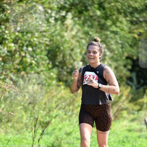 27.09.2026 - 35. Volkslauf durch das schöne Alstertal Dr. Thomas Lammeyer http://msf.ph/oto/10580630 27.09.2026 12:17:09 Laufen 2247 meine-sportfotos.de