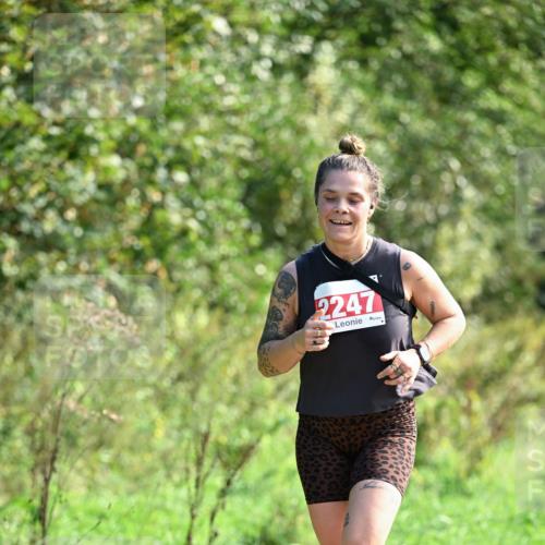 27.09.2026 - 35. Volkslauf durch das schöne Alstertal Dr. Thomas Lammeyer http://msf.ph/oto/10580632 27.09.2026 12:17:10 Laufen 2247 meine-sportfotos.de