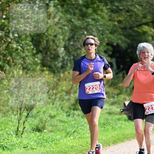 27.09.2026 - 35. Volkslauf durch das schöne Alstertal Dr. Thomas Lammeyer http://msf.ph/oto/10580660 27.09.2026 12:17:35 Laufen 2220, 221 meine-sportfotos.de