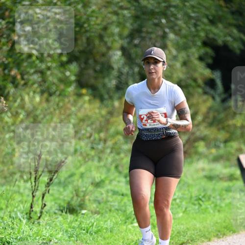 27.09.2026 - 35. Volkslauf durch das schöne Alstertal Dr. Thomas Lammeyer http://msf.ph/oto/10580744 27.09.2026 12:18:27 Laufen  meine-sportfotos.de