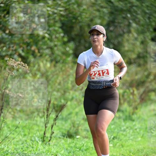 27.09.2026 - 35. Volkslauf durch das schöne Alstertal Dr. Thomas Lammeyer http://msf.ph/oto/10580749 27.09.2026 12:18:27 Laufen 2212 meine-sportfotos.de
