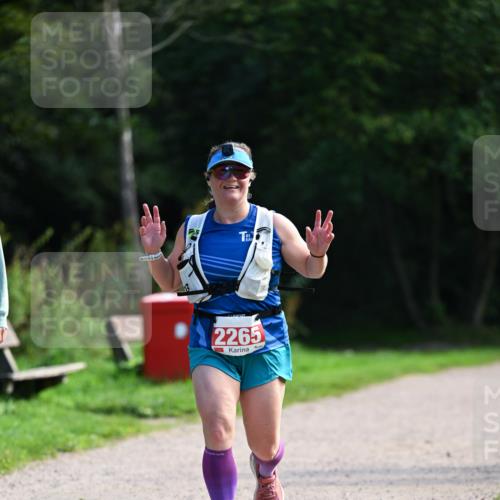 27.09.2026 - 35. Volkslauf durch das schöne Alstertal Dr. Thomas Lammeyer http://msf.ph/oto/10580766 27.09.2026 12:18:40 Laufen 2265 meine-sportfotos.de