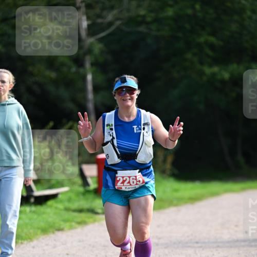 27.09.2026 - 35. Volkslauf durch das schöne Alstertal Dr. Thomas Lammeyer http://msf.ph/oto/10580770 27.09.2026 12:18:41 Laufen 2265 meine-sportfotos.de