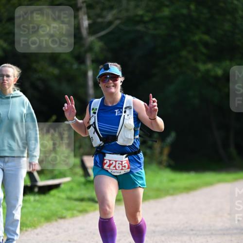 27.09.2026 - 35. Volkslauf durch das schöne Alstertal Dr. Thomas Lammeyer http://msf.ph/oto/10580771 27.09.2026 12:18:41 Laufen 2265 meine-sportfotos.de
