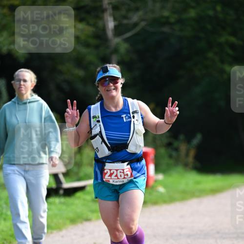 27.09.2026 - 35. Volkslauf durch das schöne Alstertal Dr. Thomas Lammeyer http://msf.ph/oto/10580774 27.09.2026 12:18:41 Laufen 2265 meine-sportfotos.de