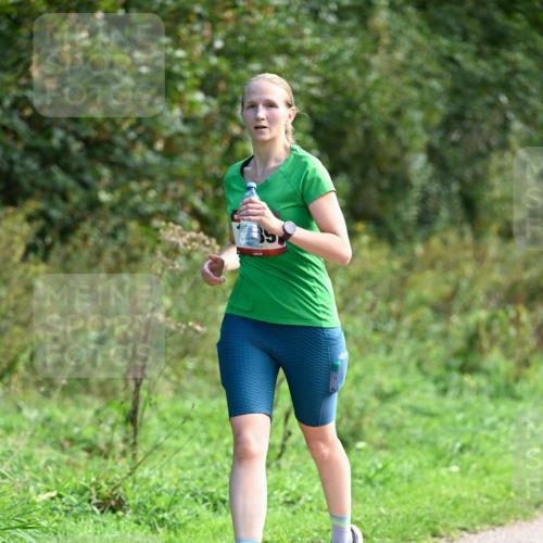 27.09.2026 - 35. Volkslauf durch das schöne Alstertal Dr. Thomas Lammeyer http://msf.ph/oto/10580785 27.09.2026 12:18:59 Laufen  meine-sportfotos.de