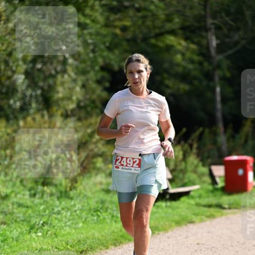 27.09.2026 - 35. Volkslauf durch das schöne Alstertal Dr. Thomas Lammeyer http://msf.ph/oto/10580808 27.09.2026 12:19:29 Laufen 2492 meine-sportfotos.de