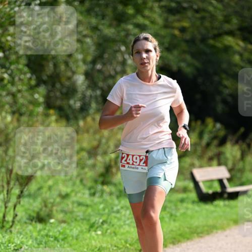 27.09.2026 - 35. Volkslauf durch das schöne Alstertal Dr. Thomas Lammeyer http://msf.ph/oto/10580813 27.09.2026 12:19:30 Laufen 2492 meine-sportfotos.de