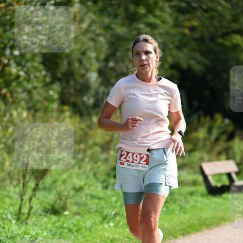 27.09.2026 - 35. Volkslauf durch das schöne Alstertal Dr. Thomas Lammeyer http://msf.ph/oto/10580814 27.09.2026 12:19:30 Laufen 2492 meine-sportfotos.de