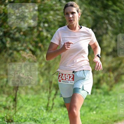 27.09.2026 - 35. Volkslauf durch das schöne Alstertal Dr. Thomas Lammeyer http://msf.ph/oto/10580819 27.09.2026 12:19:31 Laufen 2492 meine-sportfotos.de