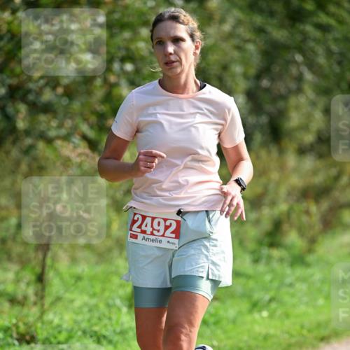 27.09.2026 - 35. Volkslauf durch das schöne Alstertal Dr. Thomas Lammeyer http://msf.ph/oto/10580820 27.09.2026 12:19:31 Laufen 2492 meine-sportfotos.de