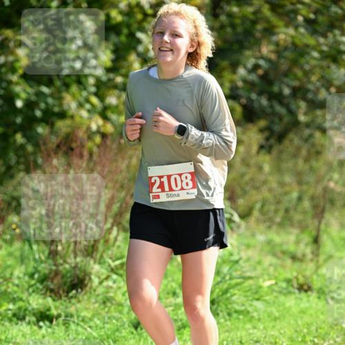 27.09.2026 - 35. Volkslauf durch das schöne Alstertal Dr. Thomas Lammeyer http://msf.ph/oto/10580848 27.09.2026 12:20:10 Laufen 2108 meine-sportfotos.de