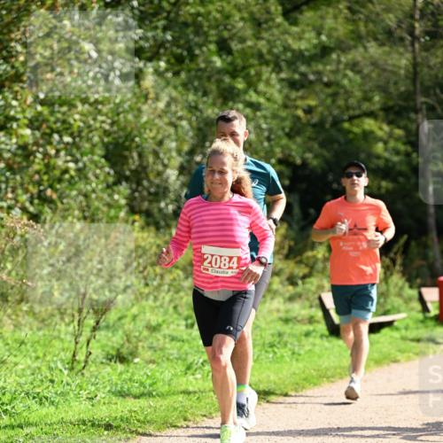 27.09.2026 - 35. Volkslauf durch das schöne Alstertal Dr. Thomas Lammeyer http://msf.ph/oto/10580860 27.09.2026 12:20:22 Laufen 2084 meine-sportfotos.de