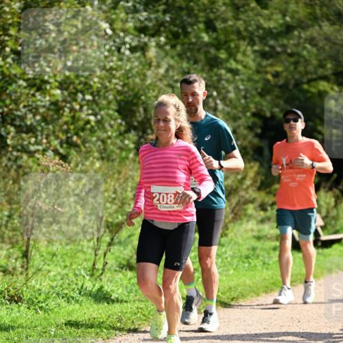 27.09.2026 - 35. Volkslauf durch das schöne Alstertal Dr. Thomas Lammeyer http://msf.ph/oto/10580863 27.09.2026 12:20:22 Laufen 208 meine-sportfotos.de